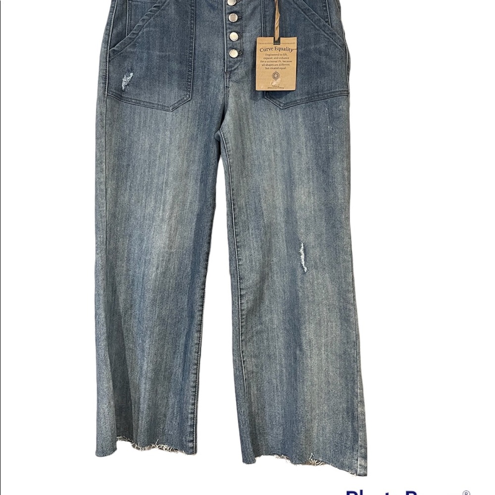 Democracy AB Technology High Rise Button Fly Flare Jeans. NWT